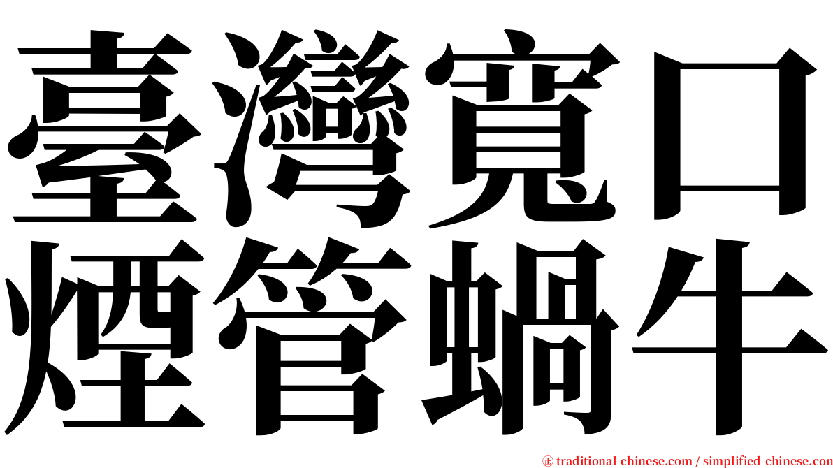 臺灣寬口煙管蝸牛 serif font