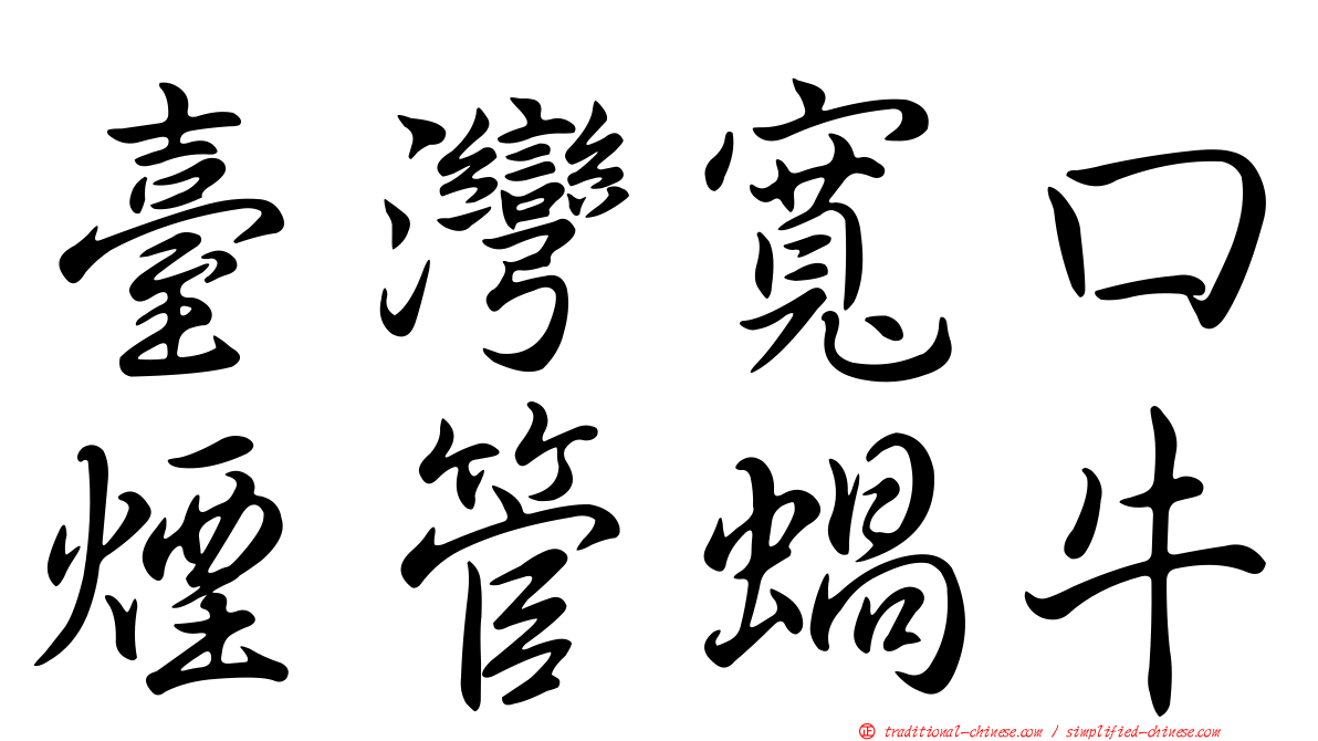 臺灣寬口煙管蝸牛