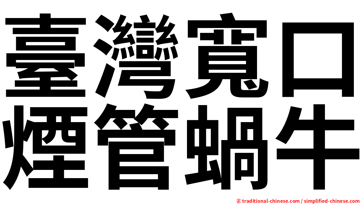 臺灣寬口煙管蝸牛