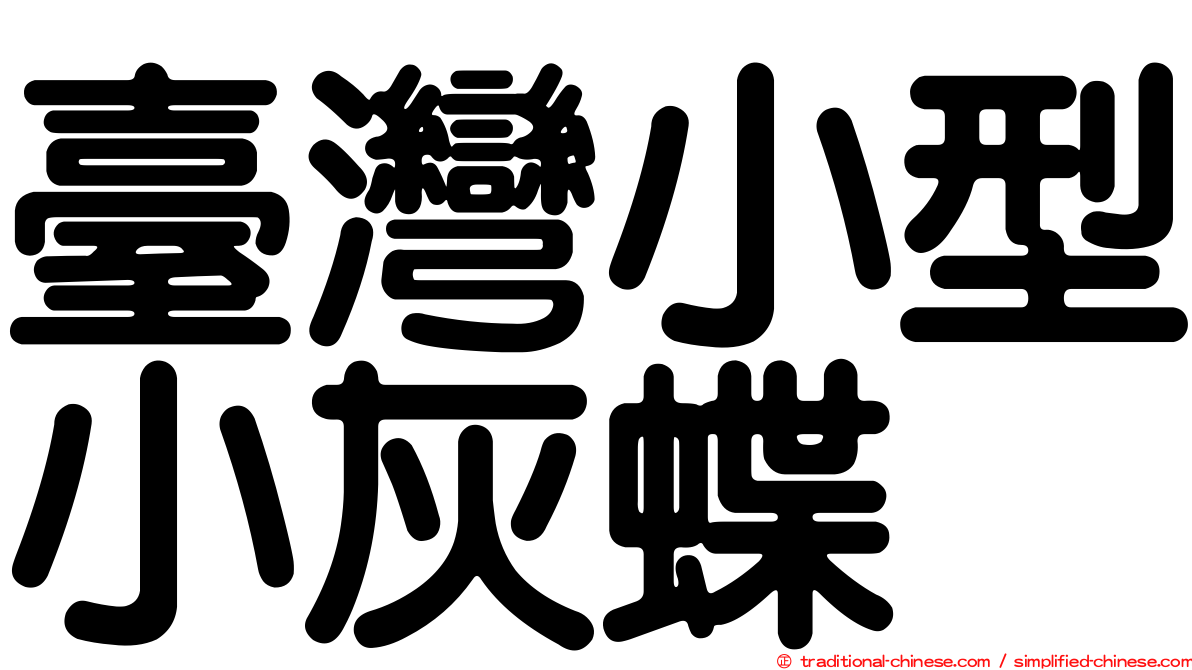 臺灣小型小灰蝶