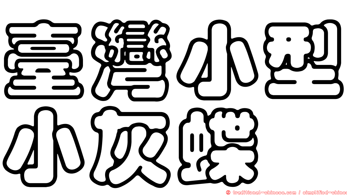 臺灣小型小灰蝶
