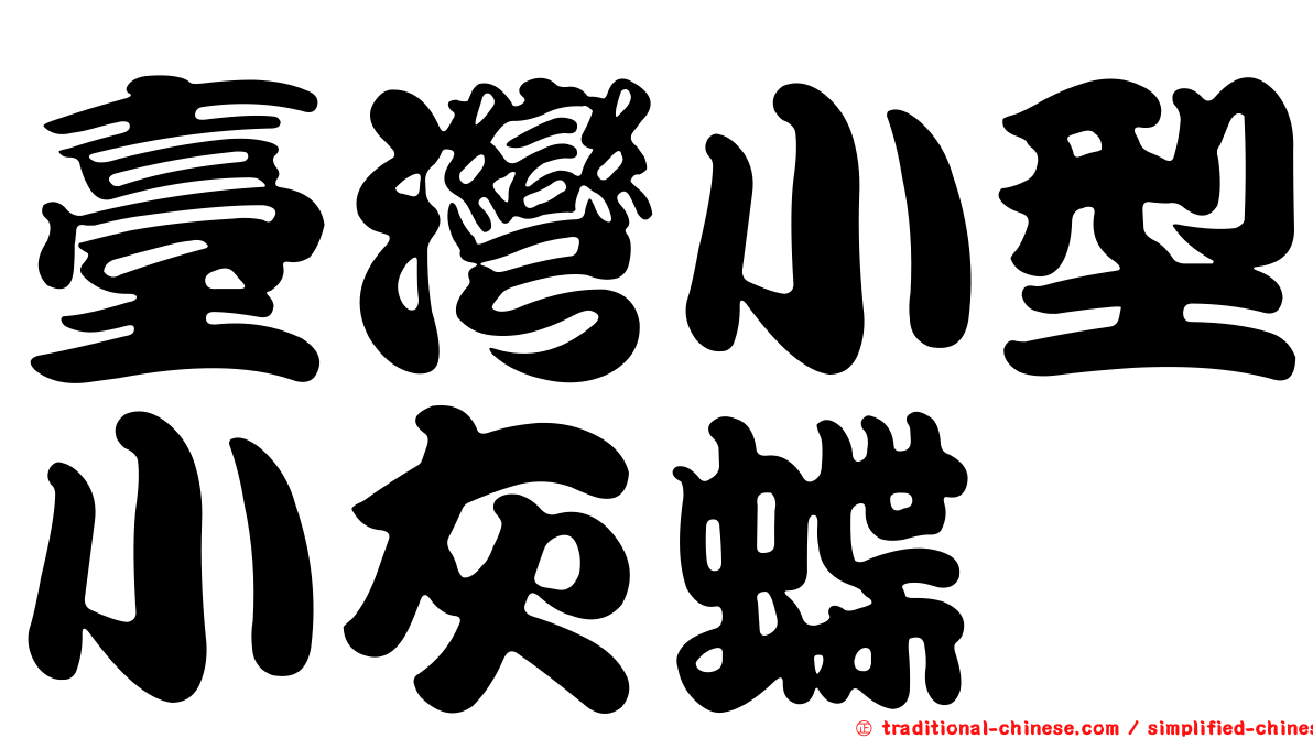臺灣小型小灰蝶