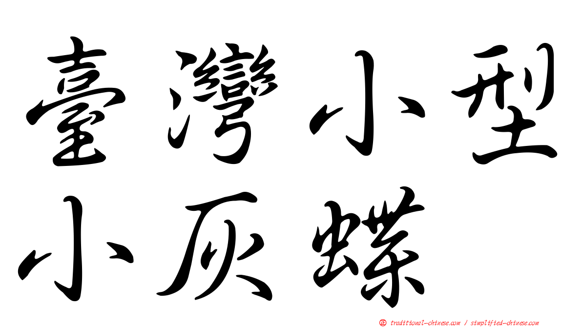 臺灣小型小灰蝶