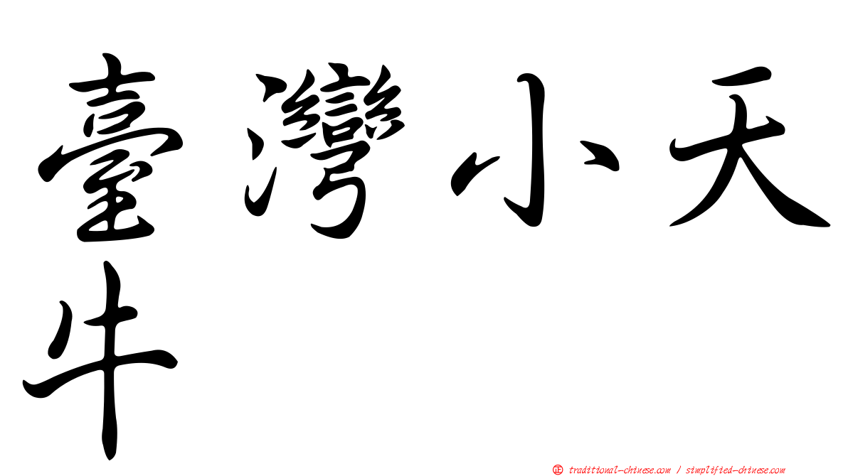 臺灣小天牛