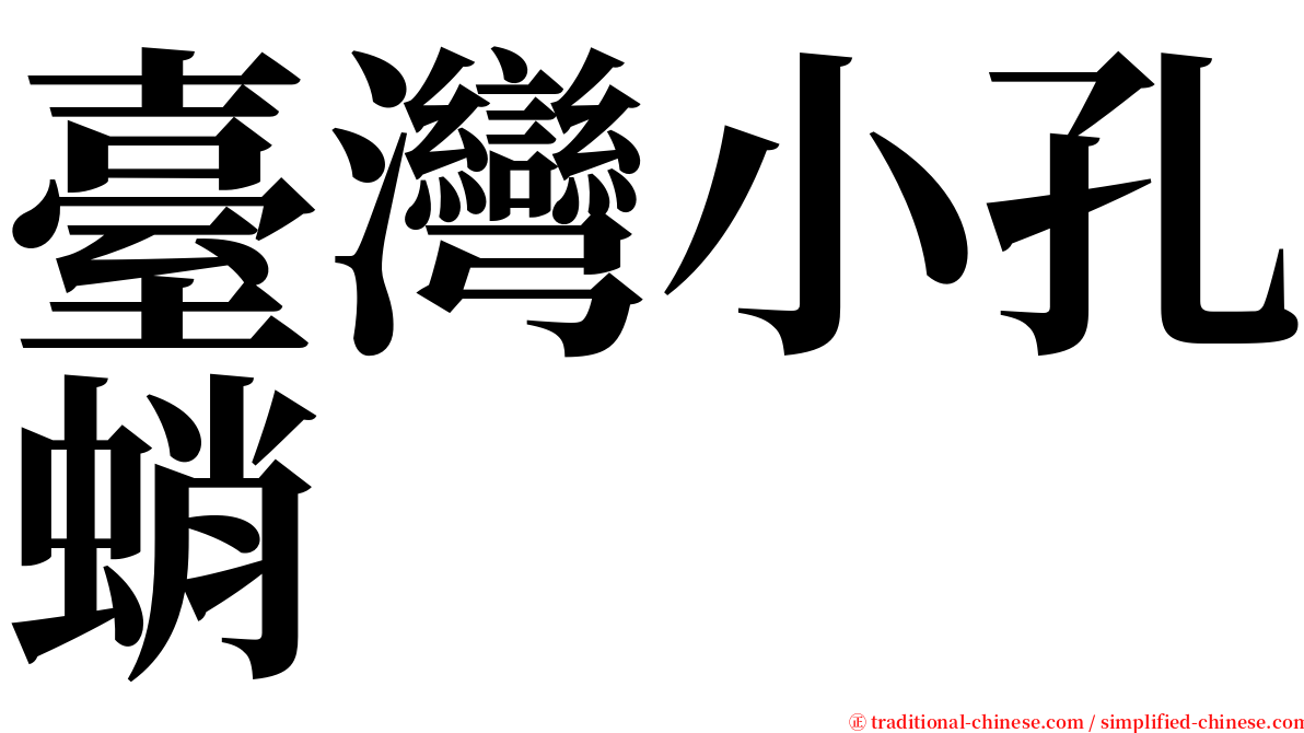 臺灣小孔蛸 serif font