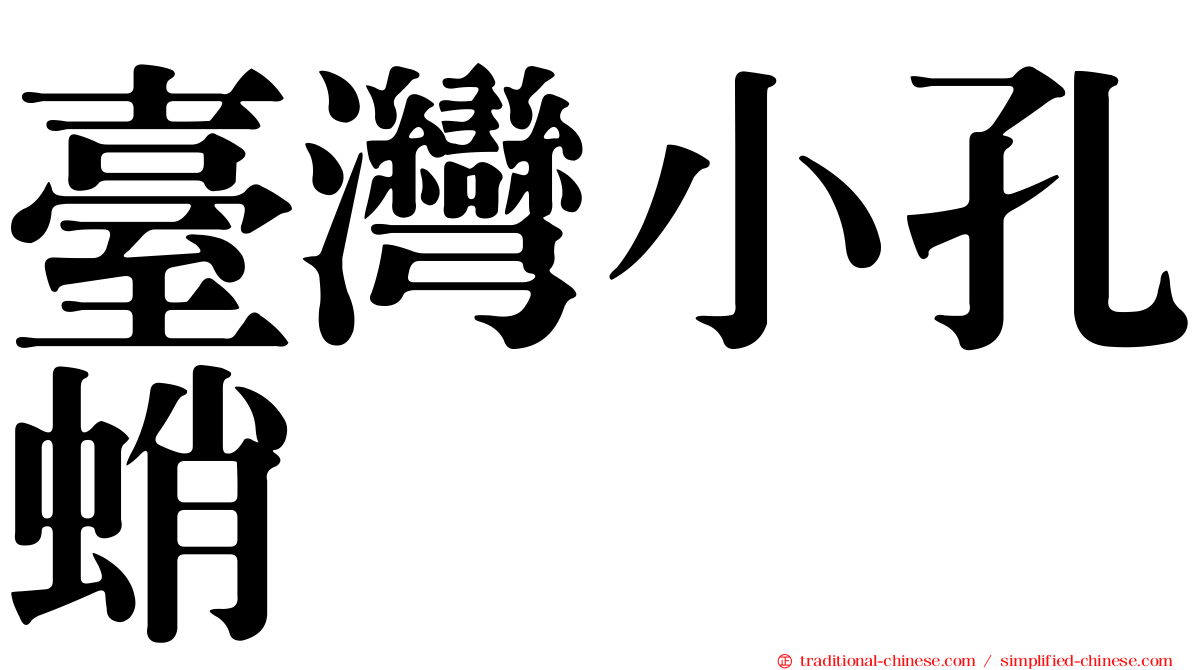 臺灣小孔蛸
