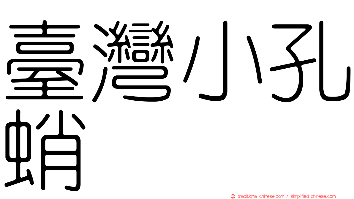 臺灣小孔蛸