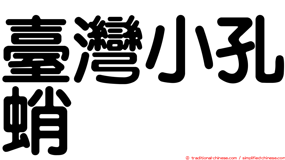 臺灣小孔蛸