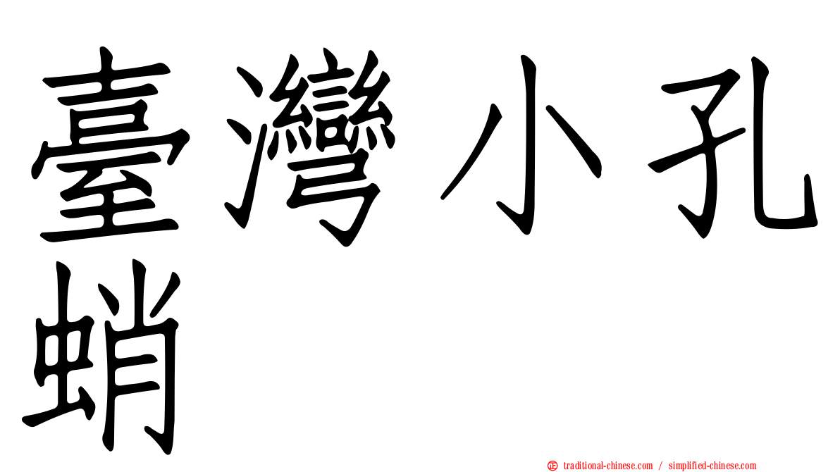 臺灣小孔蛸