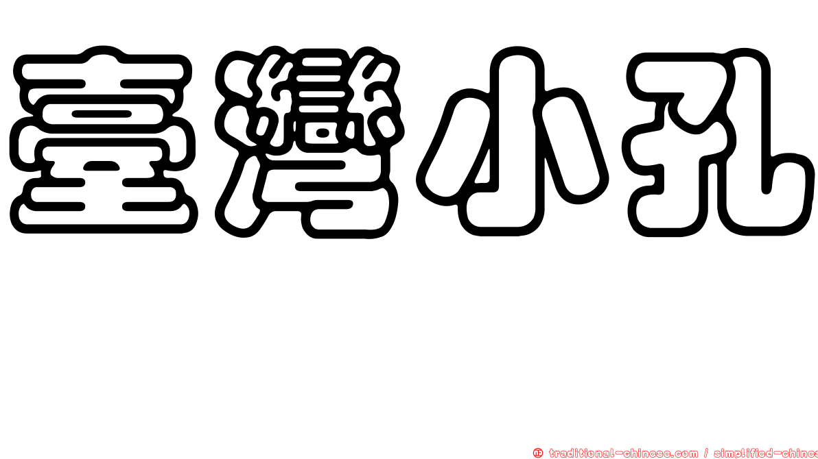 臺灣小孔蛸