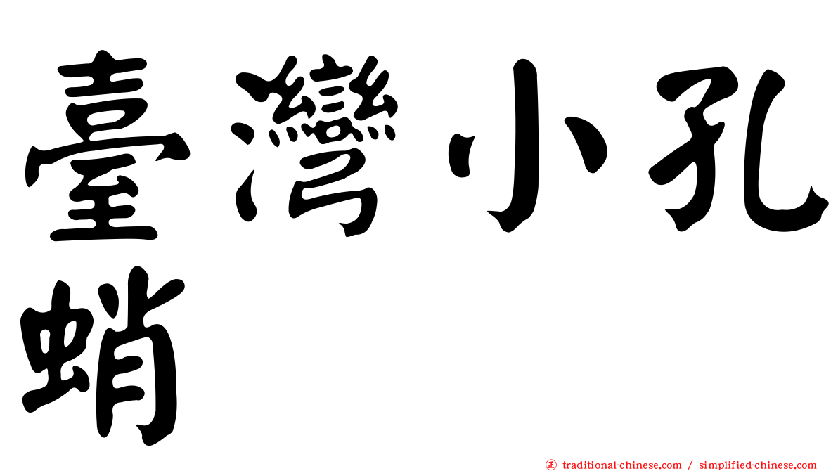 臺灣小孔蛸