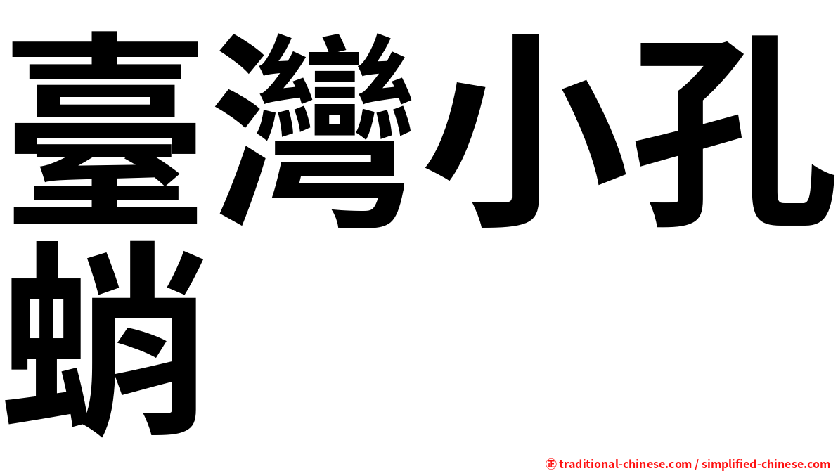 臺灣小孔蛸