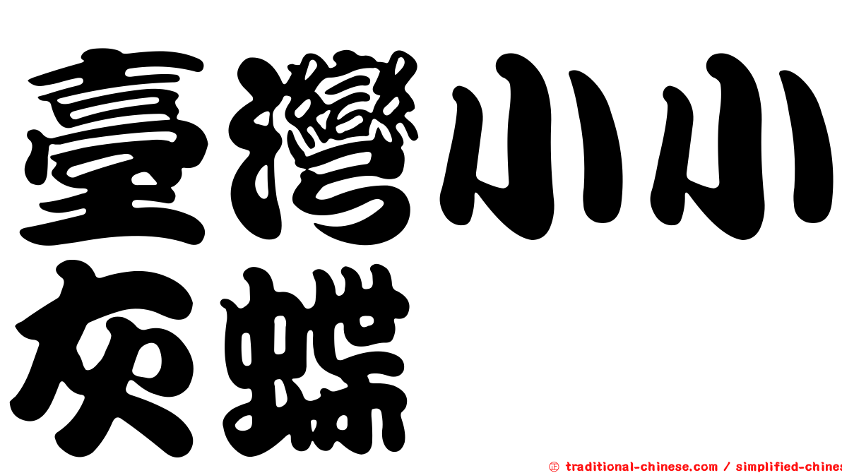 臺灣小小灰蝶