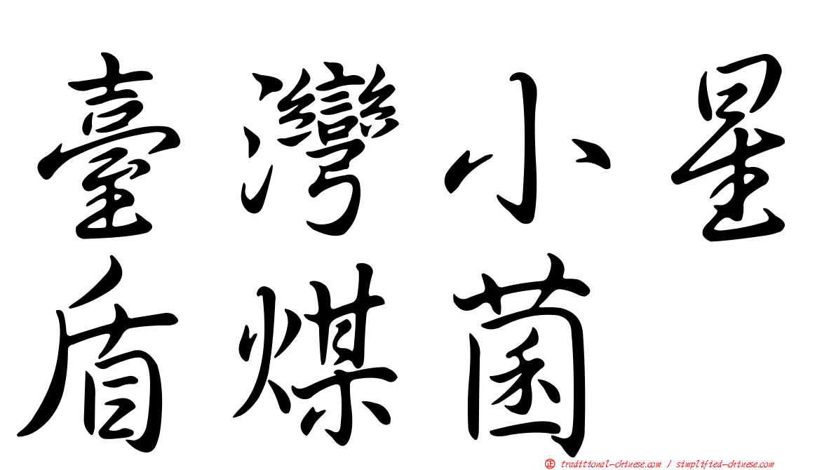 臺灣小星盾煤菌