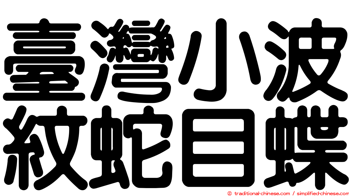 臺灣小波紋蛇目蝶