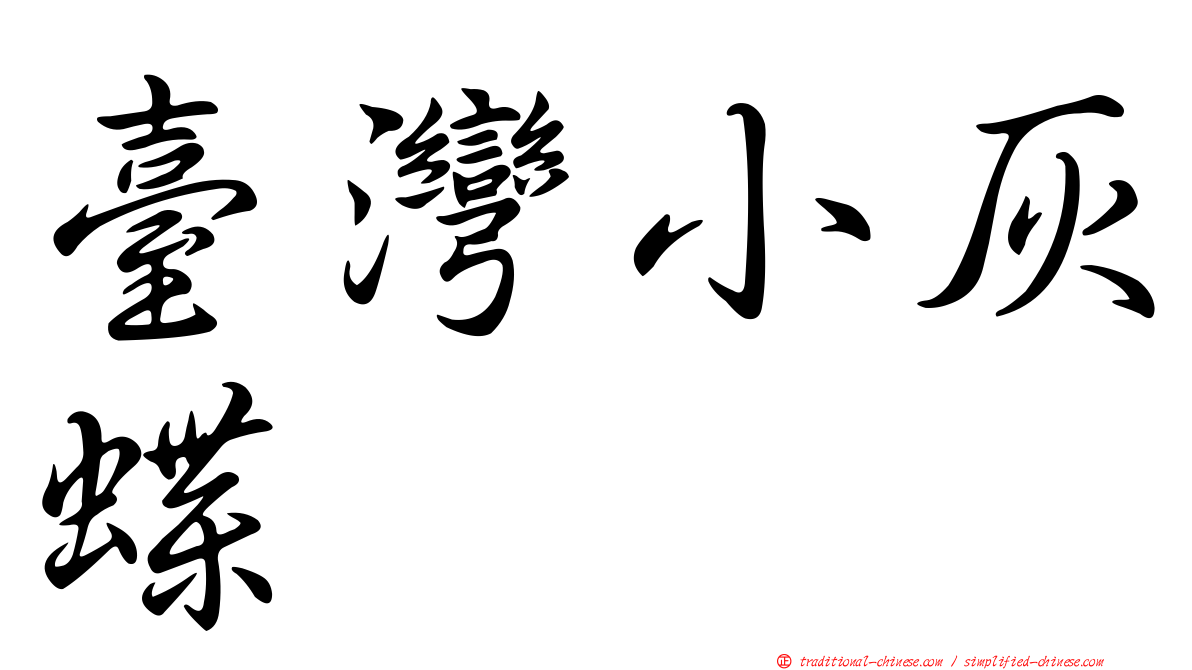 臺灣小灰蝶