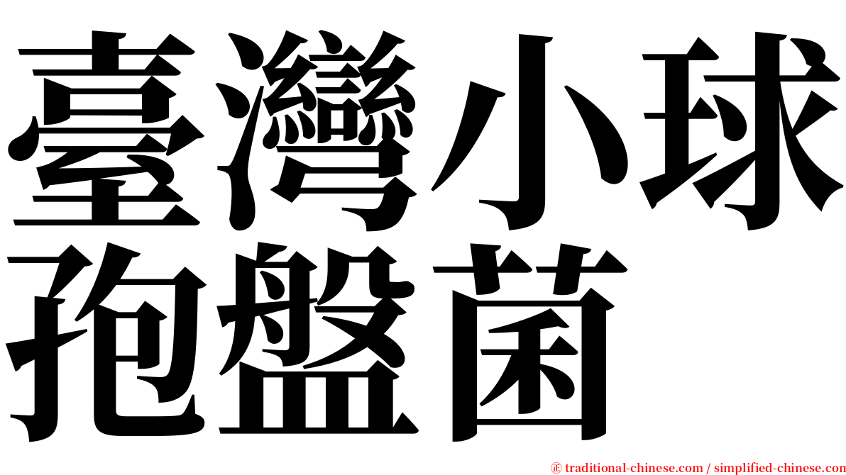 臺灣小球孢盤菌 serif font