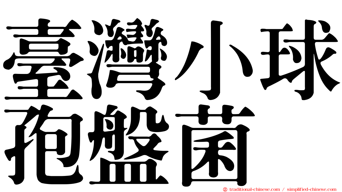 臺灣小球孢盤菌