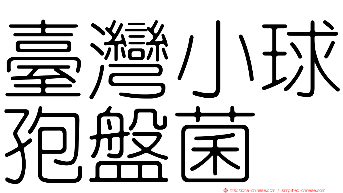 臺灣小球孢盤菌