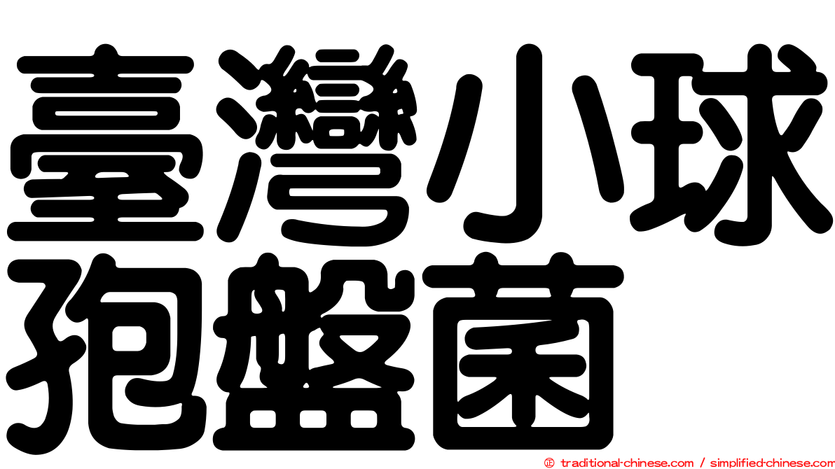 臺灣小球孢盤菌
