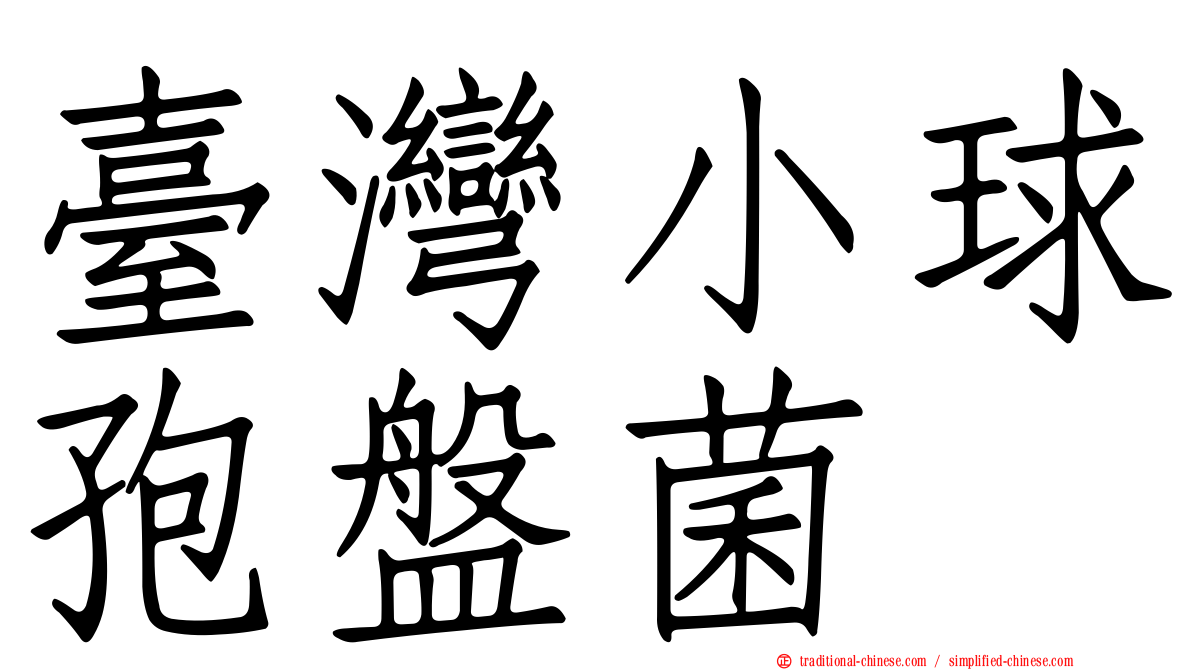 臺灣小球孢盤菌