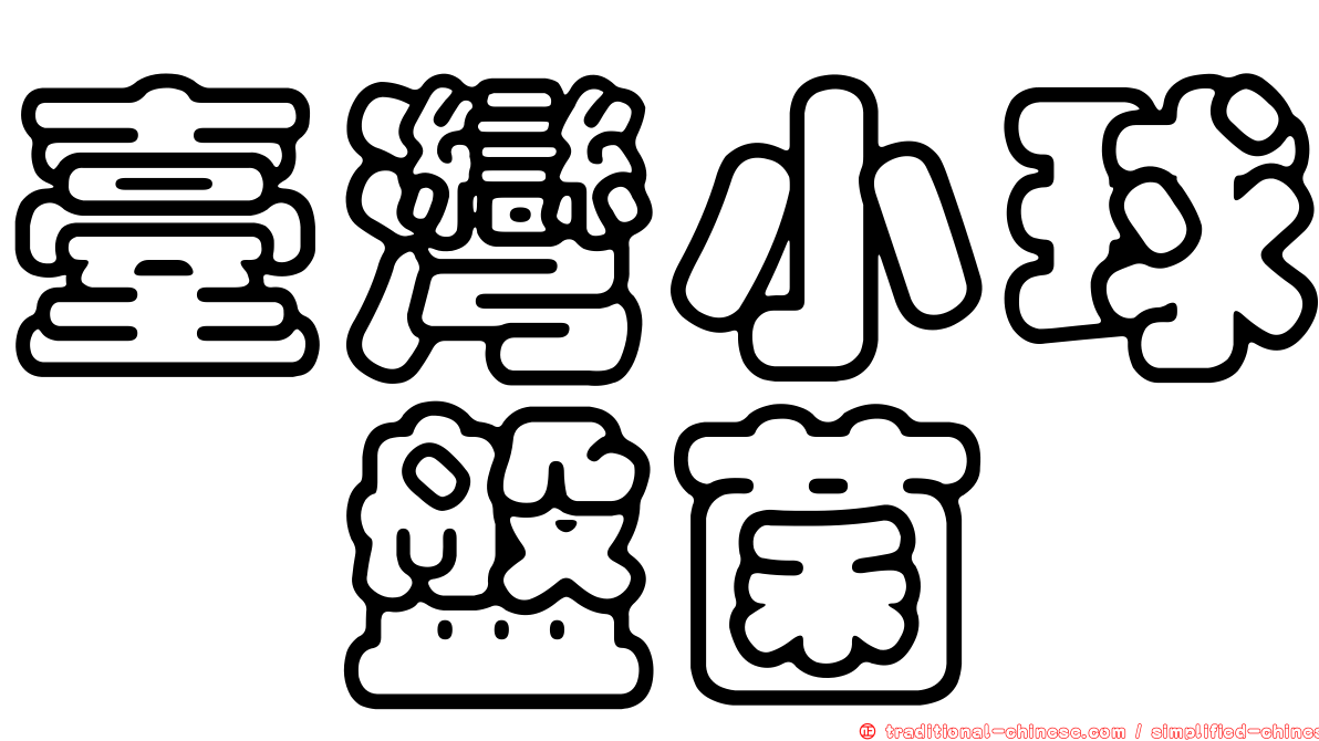 臺灣小球孢盤菌