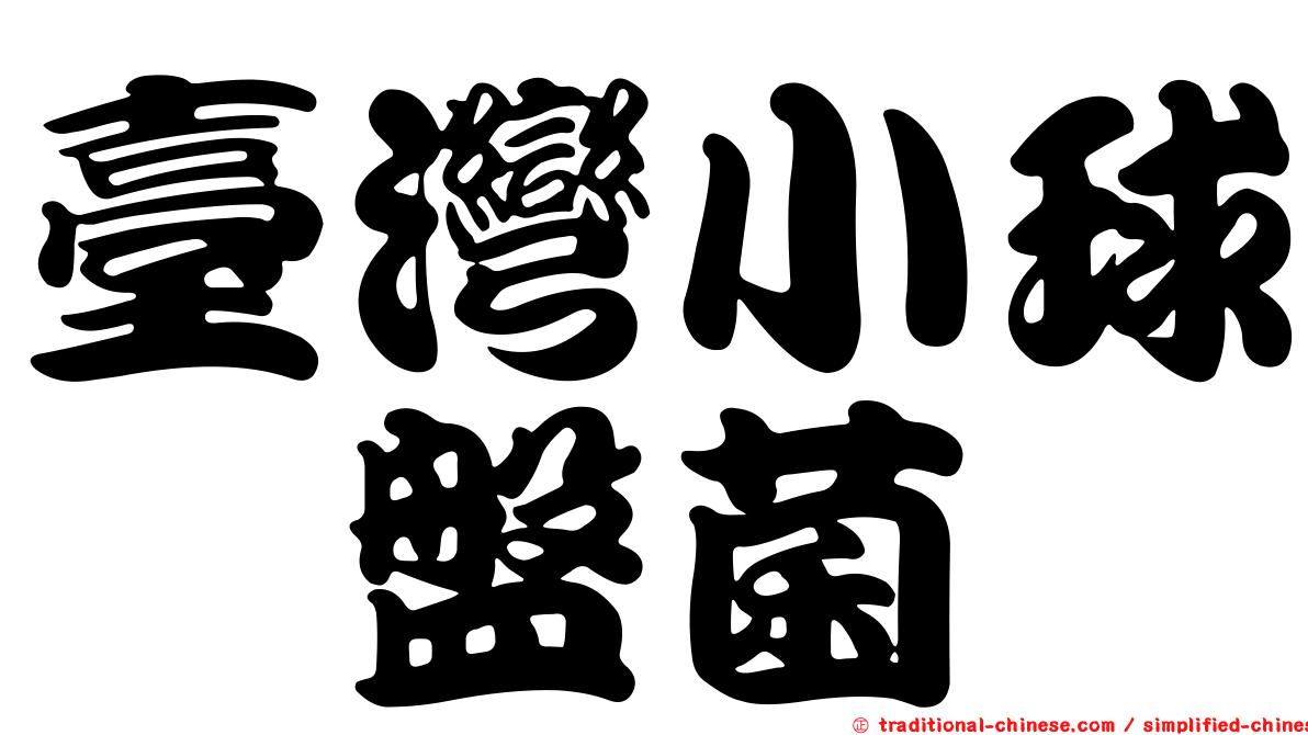 臺灣小球孢盤菌