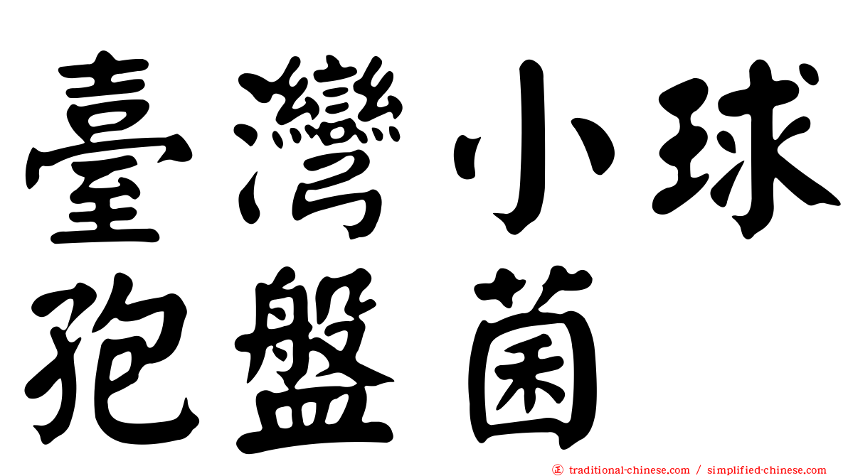 臺灣小球孢盤菌