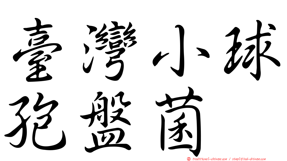 臺灣小球孢盤菌