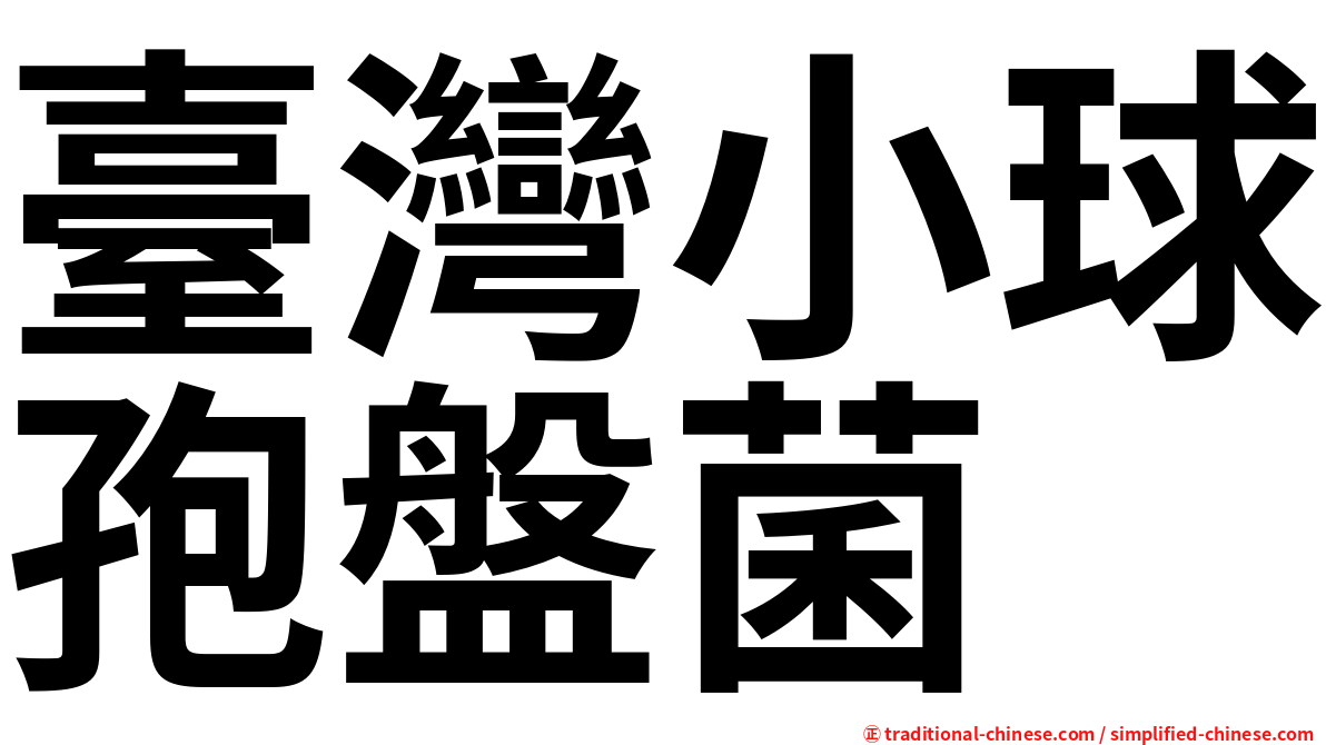 臺灣小球孢盤菌