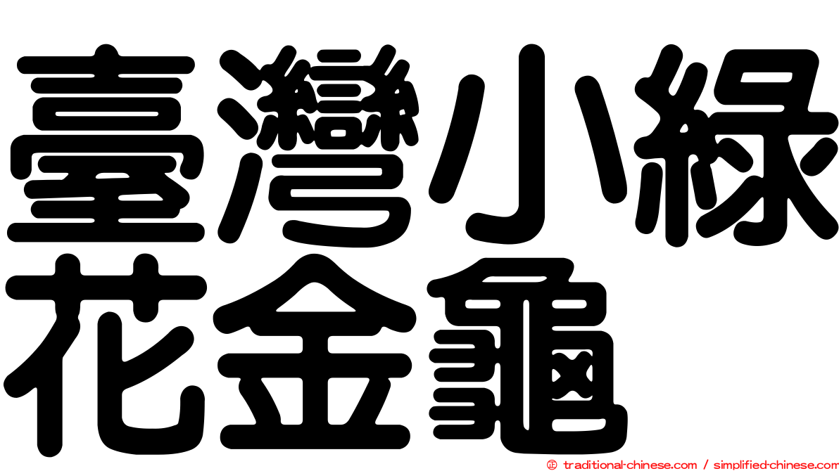 臺灣小綠花金龜