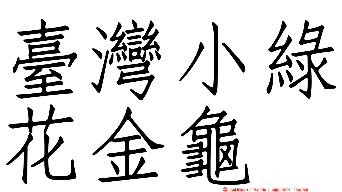 臺灣小綠花金龜