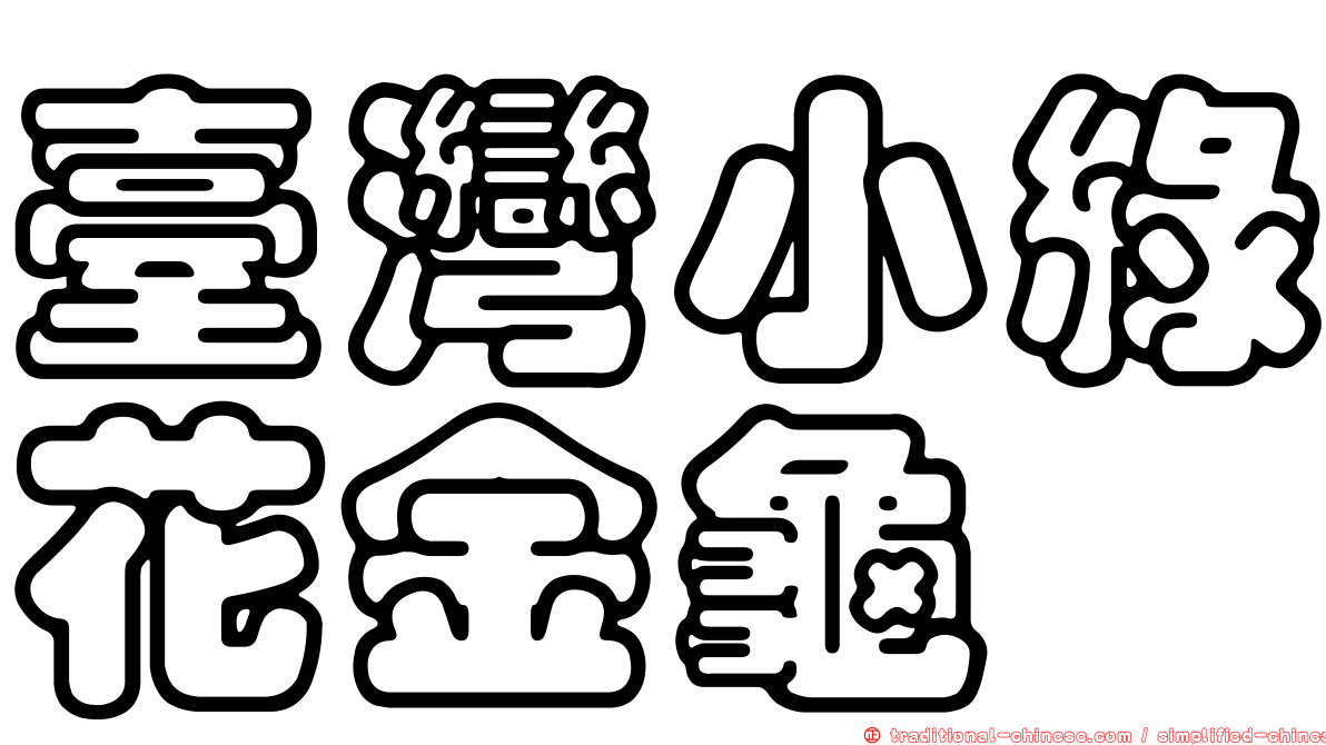臺灣小綠花金龜