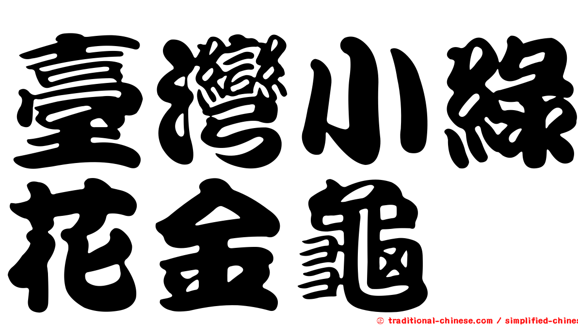 臺灣小綠花金龜