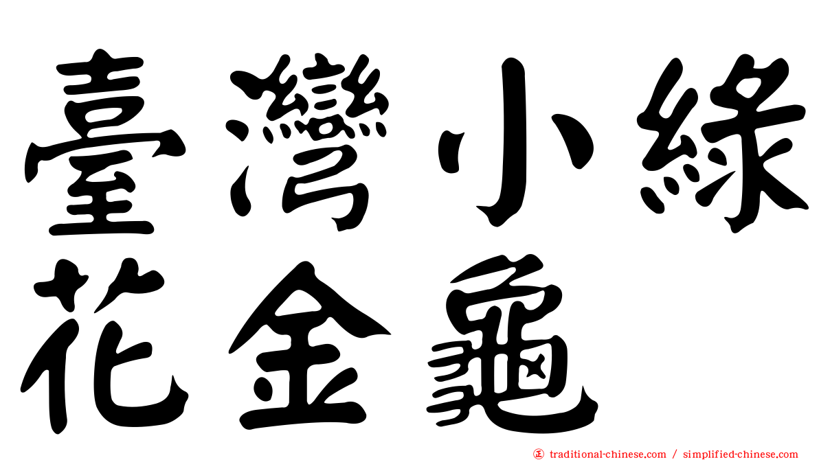 臺灣小綠花金龜