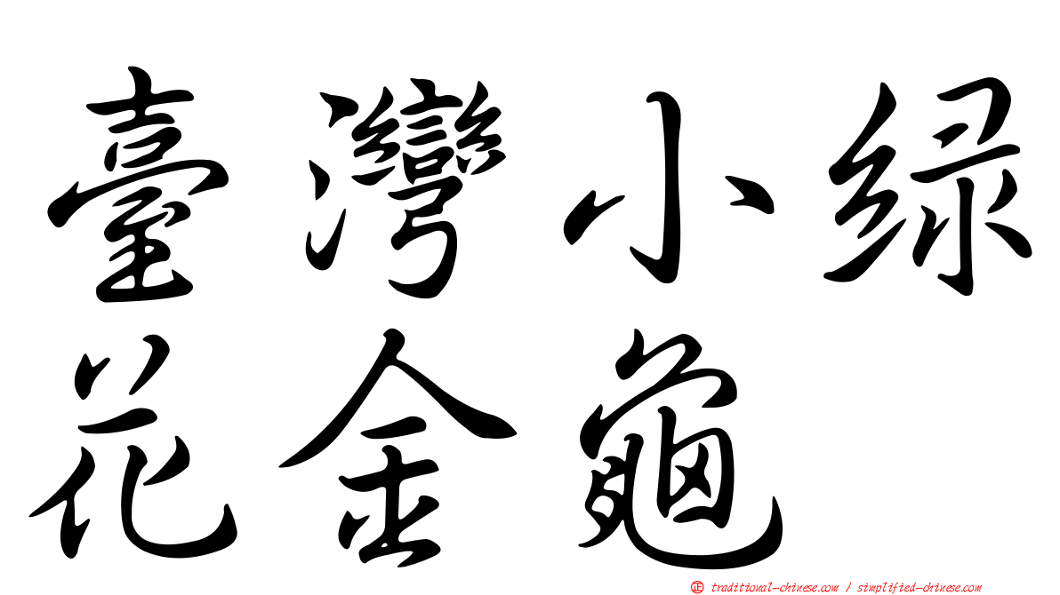 臺灣小綠花金龜