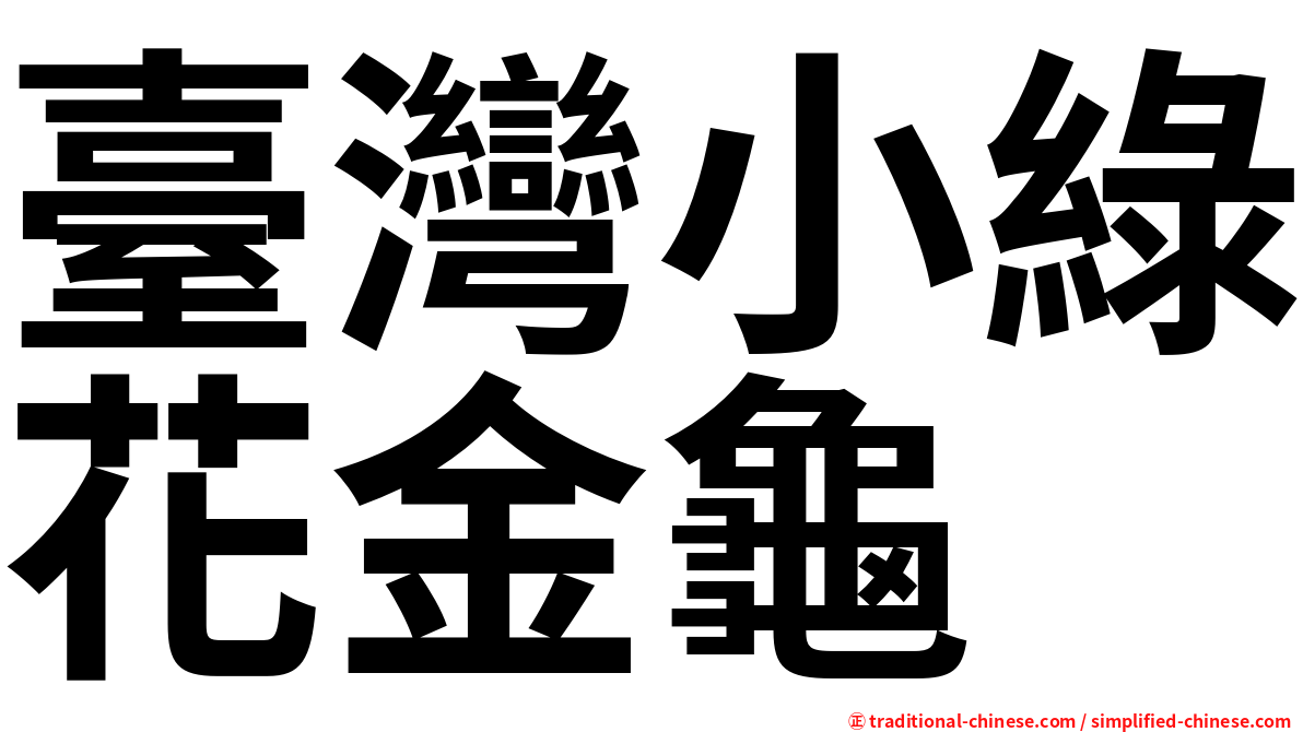 臺灣小綠花金龜