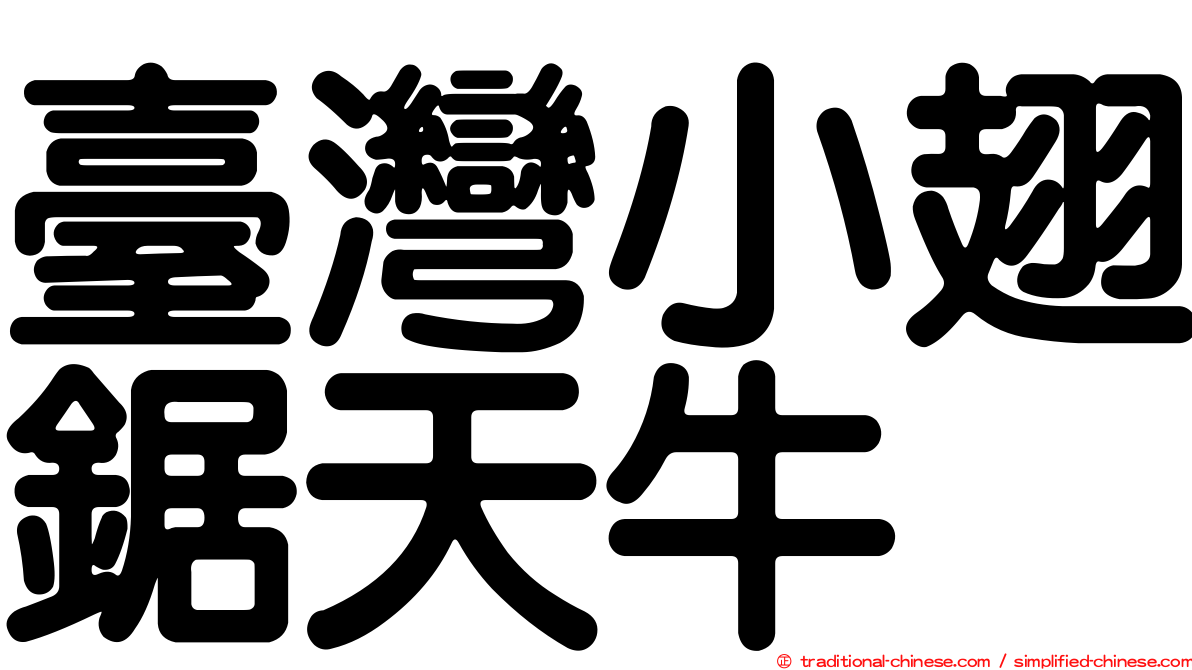 臺灣小翅鋸天牛