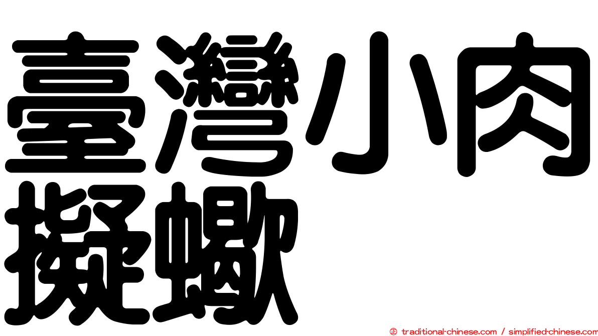臺灣小肉擬蠍