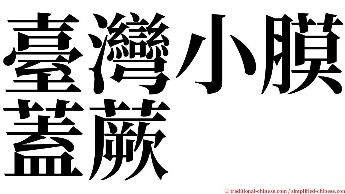臺灣小膜蓋蕨 serif font