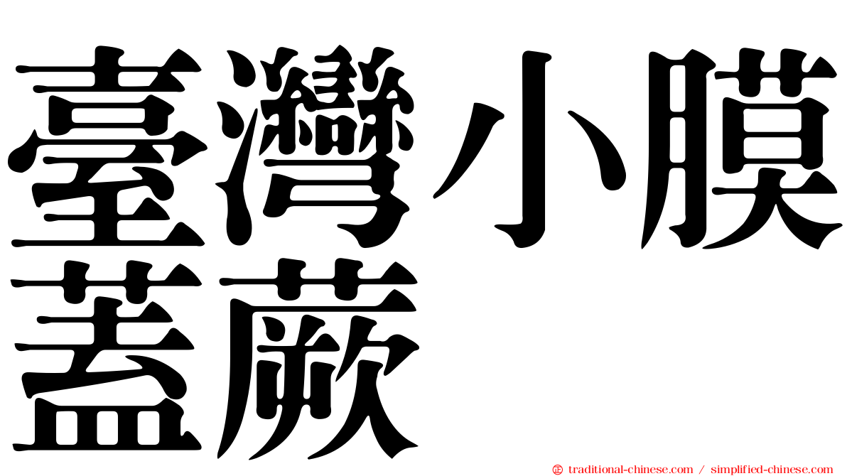 臺灣小膜蓋蕨