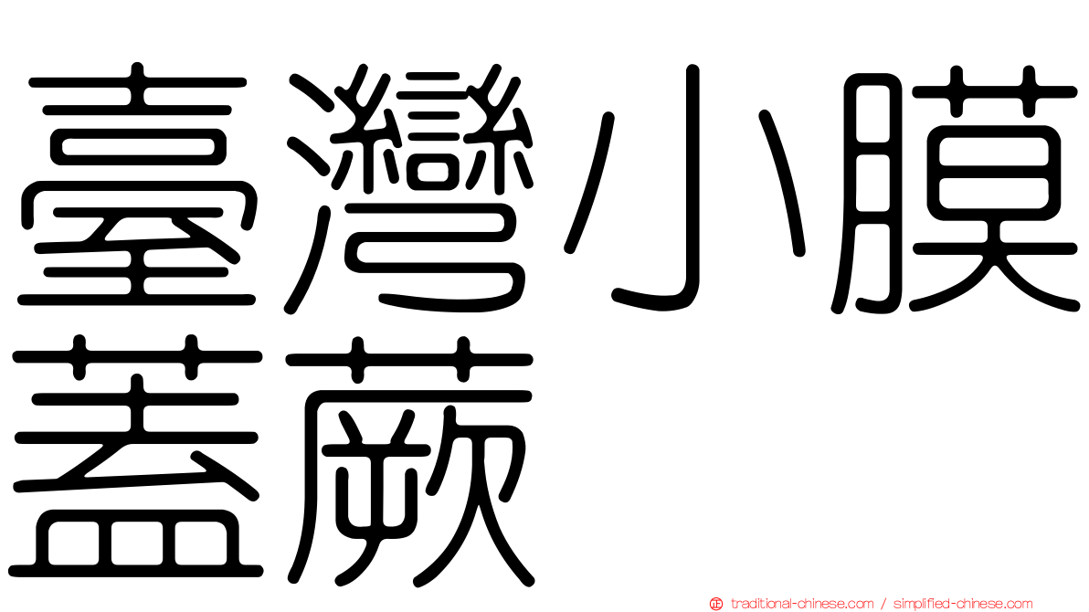 臺灣小膜蓋蕨