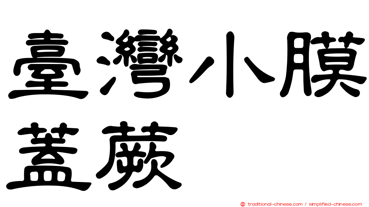 臺灣小膜蓋蕨
