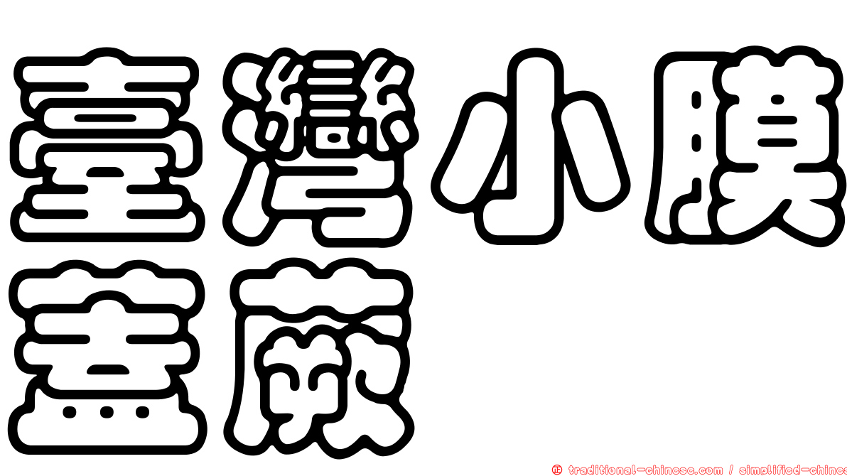 臺灣小膜蓋蕨