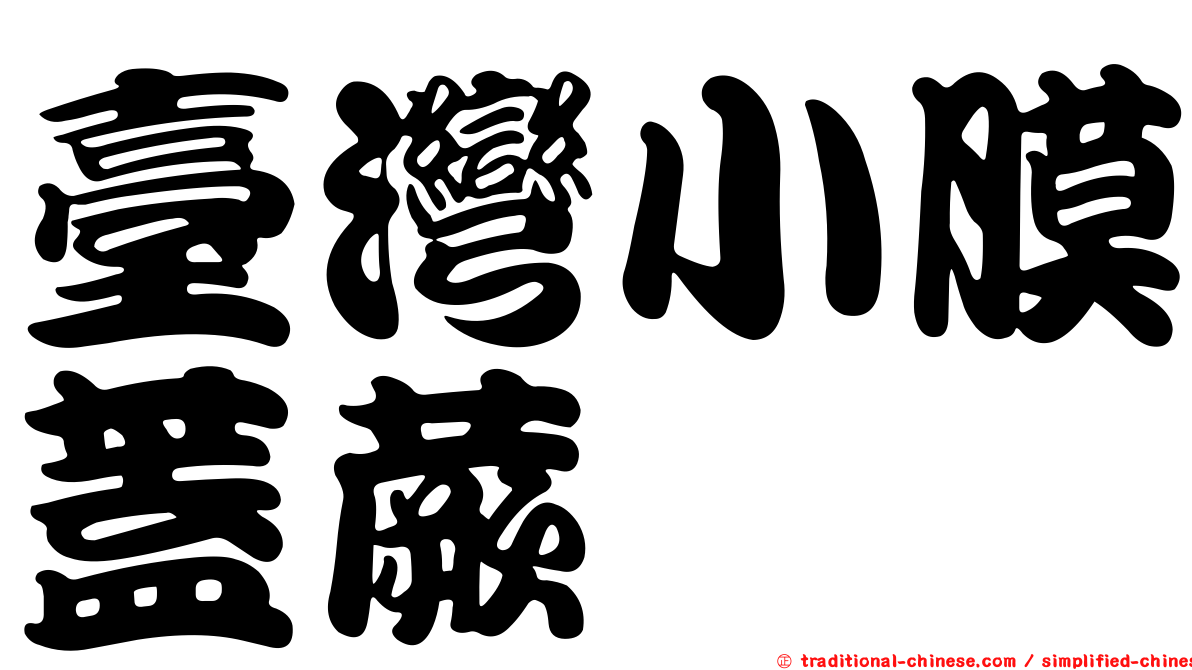 臺灣小膜蓋蕨