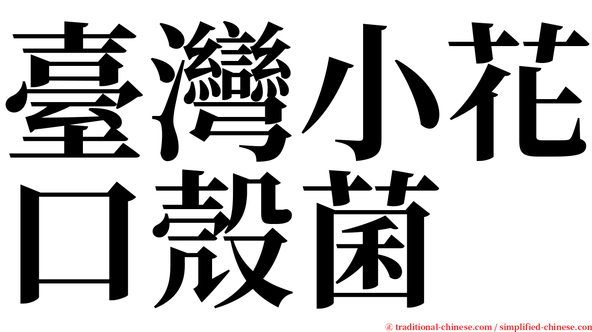 臺灣小花口殼菌 serif font