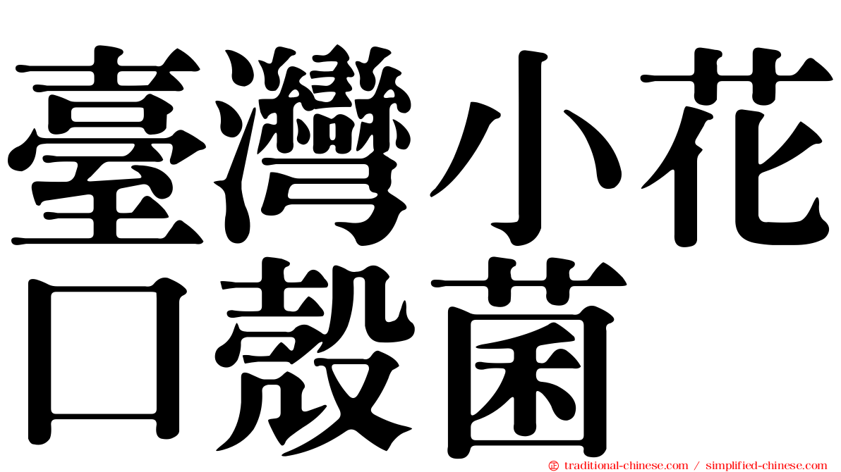 臺灣小花口殼菌