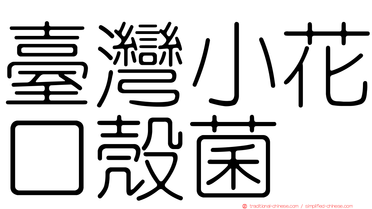 臺灣小花口殼菌