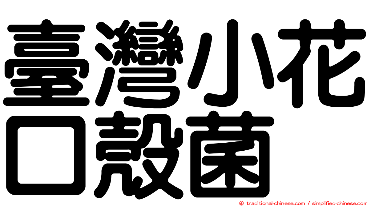 臺灣小花口殼菌