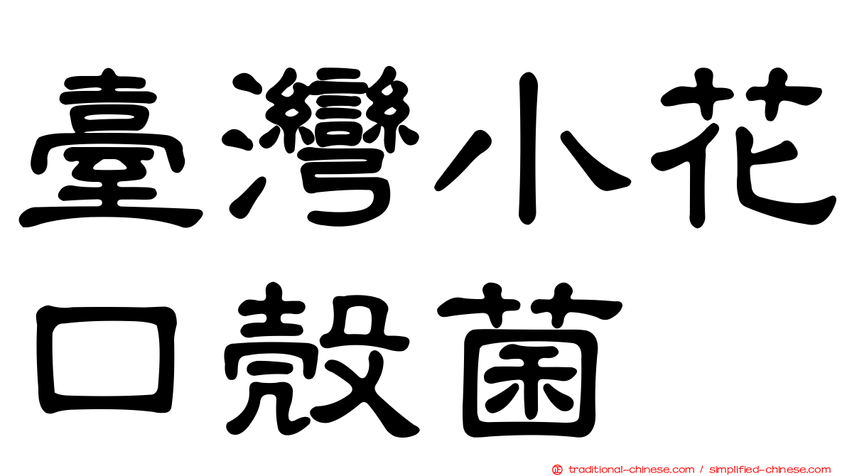 臺灣小花口殼菌